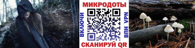 Псилоцибиновые грибы Magic Shrooms Купить закладки Духовщина