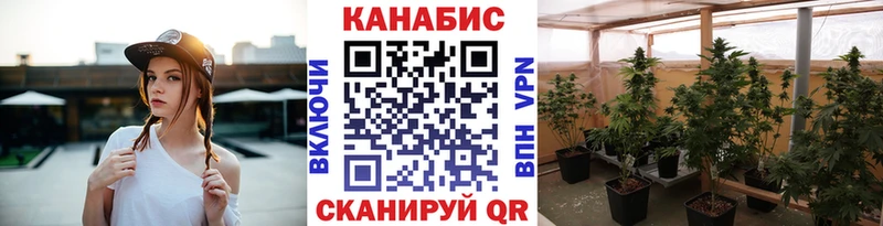 Бошки Шишки планчик Духовщина